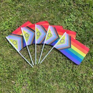 Intersex Progress Pride Hand Flags x5