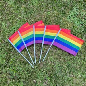 Rainbow Pride Hand Flags x5