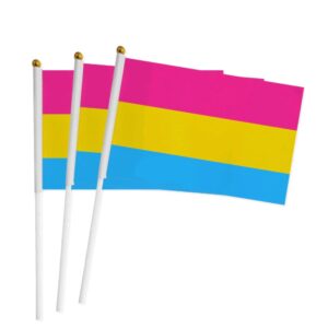 Pansexual (Pan) Pride Hand Flags x5