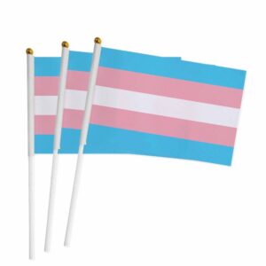 Transgender (Trans) Pride Hand Flags x5
